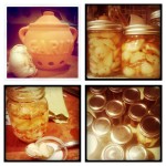 Pickled Garlic!