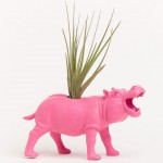 DINOSAUR AIR PLANTER