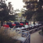 spotted trotter patio