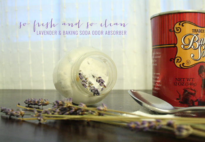 LAVENDER